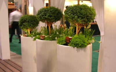 Do Large Planters Need Drainage Holes?