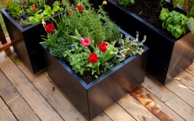 Seasonal Care Guide for Your Outdoor Planters