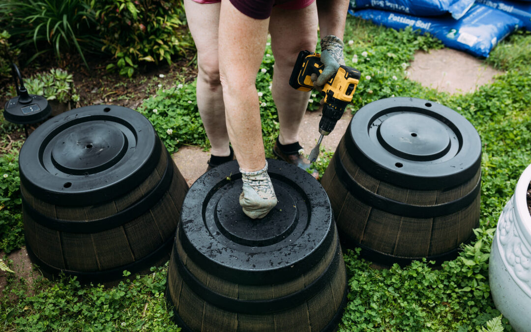 From Potting Soil to Drainage Holes